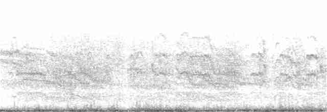 Common Tern - ML246016241