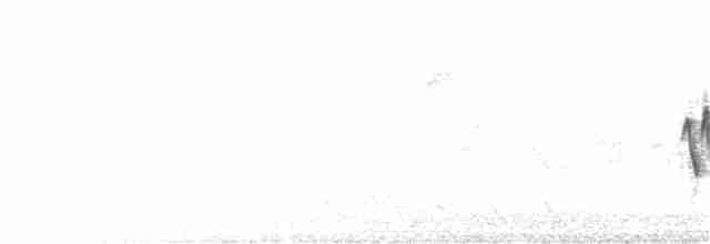 Common Yellowthroat - ML246026251