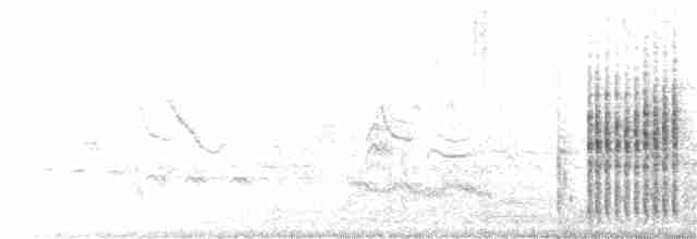 Chaparralgrasmücke - ML246026961