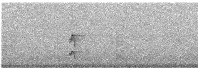 Тиранчик-довгохвіст жовточеревий - ML246040