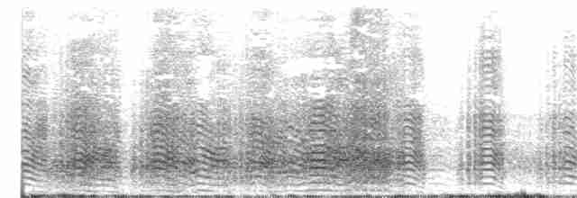 Ара гіацинтовий - ML246056761