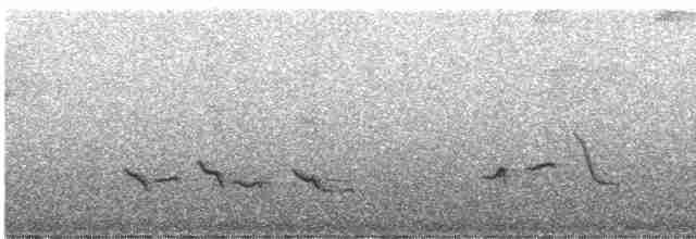 Kestane Karınlı Ardıç - ML246058