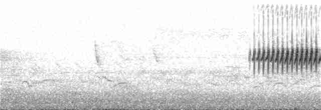 Dark-eyed Junco (Oregon) - ML246075721