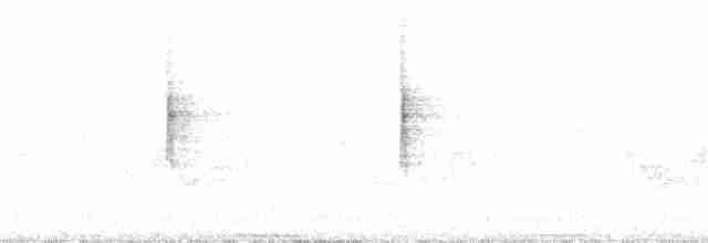 Миртовый певун (coronata) - ML246088791