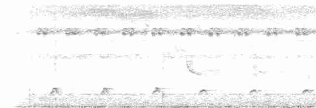 白腹秧雞 - ML246119491