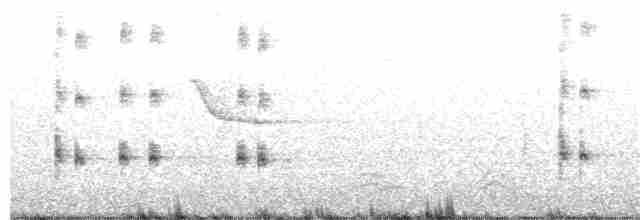 chřástal virginský (ssp. limicola/friedmanni) - ML246120001