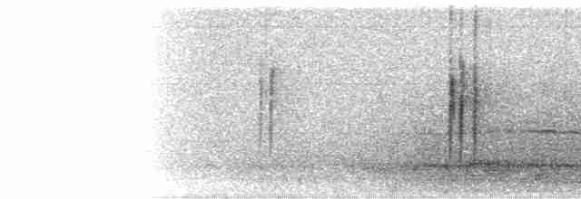 Gray-bellied Tesia - ML246123541