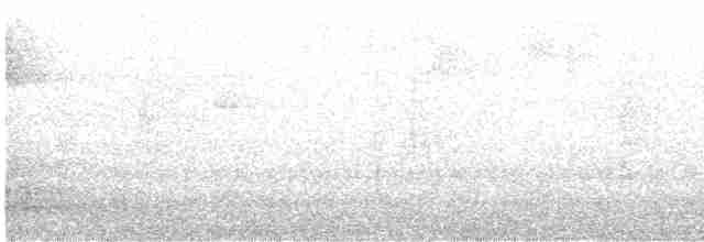 Яструб тасманійський - ML246142551