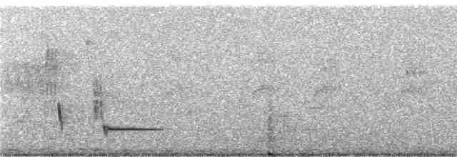 Чёрно-белая танагра - ML246143