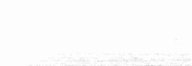 Тихоокеанский крапивник - ML246145991
