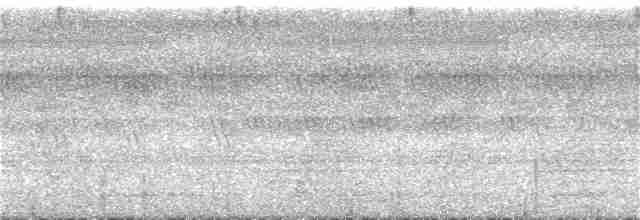 Malabar Gray Hornbill - ML246152921