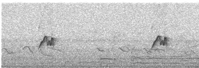 Mouse-gray Flycatcher - ML246153