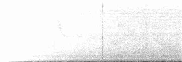 Swinhoe's White-eye - ML246159671