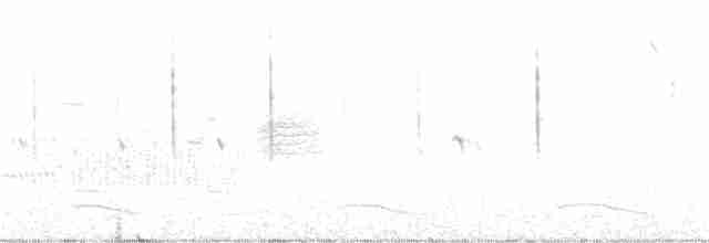 Savannah Serçesi [sandwichensis grubu] - ML246174571