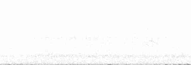 Common Tern - ML246175111