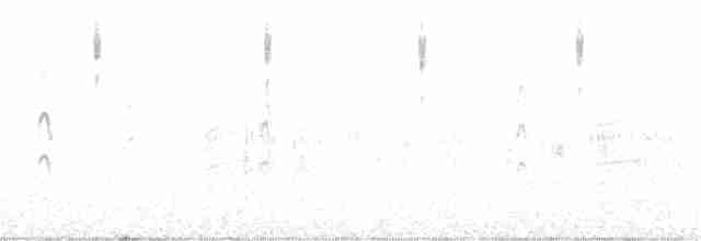 Common Tern - ML246175351
