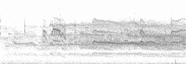 Common Tern - ML246175401