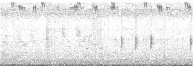 褐頭鷦鶯 - ML246181901