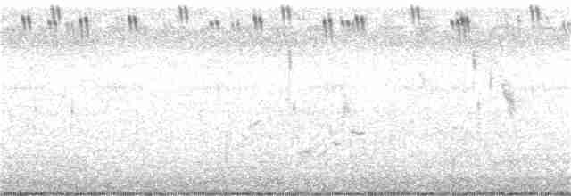 棕扇尾鶯 - ML246181921