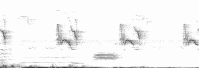 Атласная нектарница - ML246186821