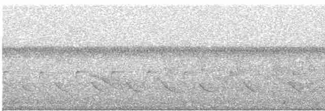 Oriole des vergers - ML246189591