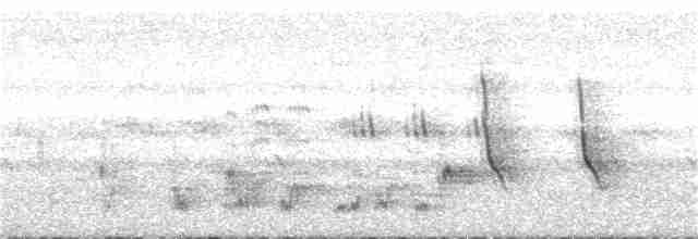 Bulbul Cejiblanco - ML246199611