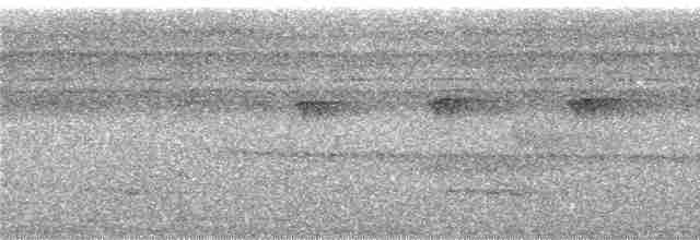 Tinamou varié - ML246201