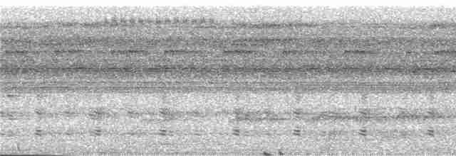 Kara Başlı Tinamu - ML246204