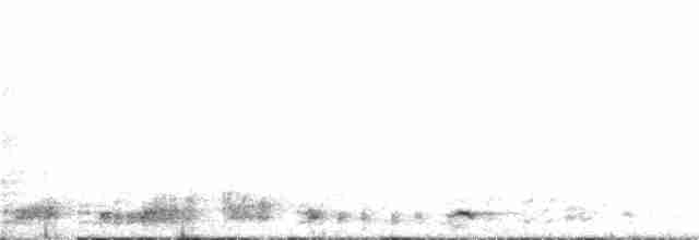 White-breasted Waterhen - ML246209411