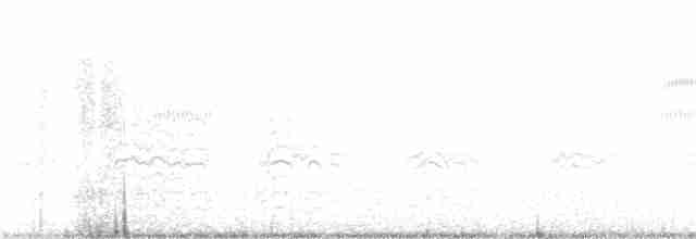 potápka nejmenší - ML246213191