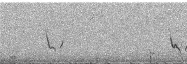 Tangara à poitrine noire - ML246218