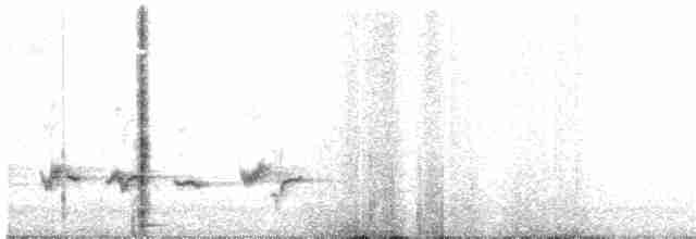 Rotschnabel-Sonnenvogel - ML246251191