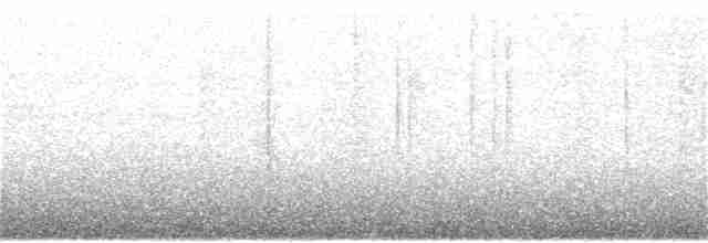 Common Yellowthroat - ML246263741