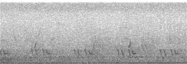 Long-tailed Broadbill - ML246293021