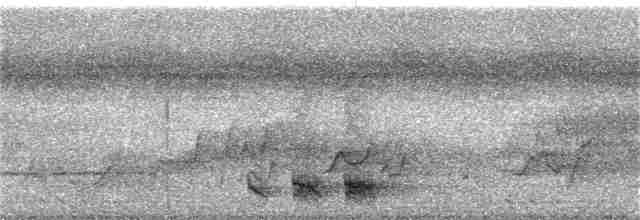 Turuncu Göğüslü Trogon - ML246293181