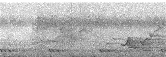 Rufous-fronted Babbler - ML246316901
