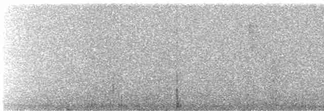 Тиранчик-довгохвіст жовточеревий - ML246344
