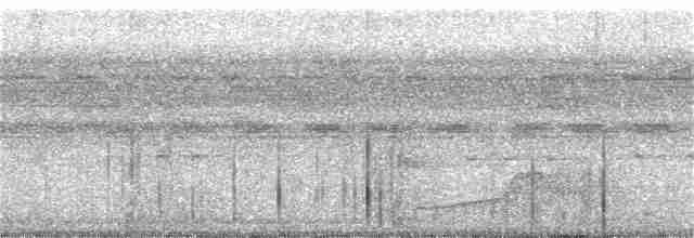 Pauraquenachtschwalbe - ML246350351