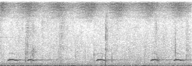 Chevêchette de la Sonde - ML246350861