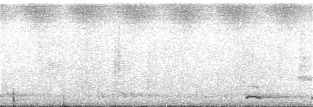 Chevêchette de la Sonde - ML246350931