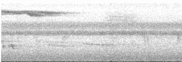 Spot-necked Babbler - ML246351211