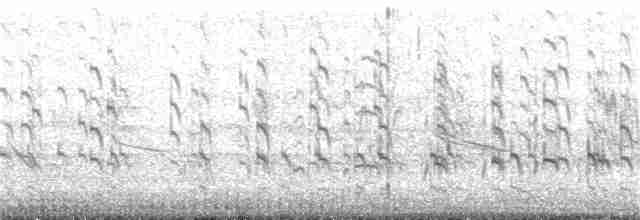 Перепончатопалый улит (semipalmata) - ML246355101