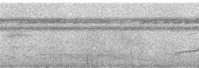 Weißkehl-Ameisenvogel - ML246360