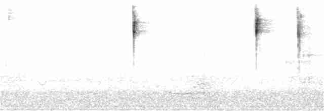 Тасманийская кустовка - ML246380581