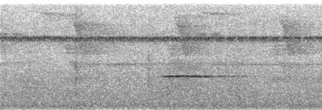 Stripe-throated Wren - ML246381