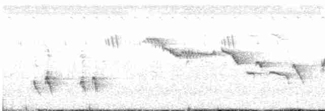 Ak Karınlı Drongo - ML246382011