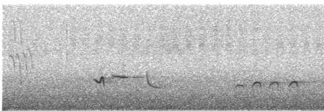 Kestane Karınlı Ardıç - ML246397