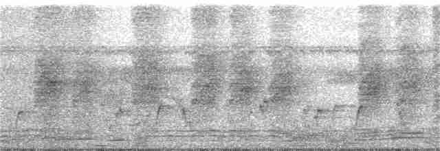 Papamoscas de Tickell - ML246408191
