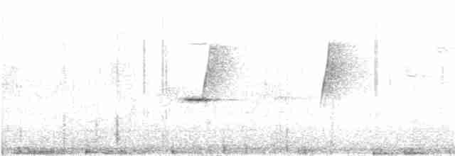 White-bellied Redstart - ML246436361