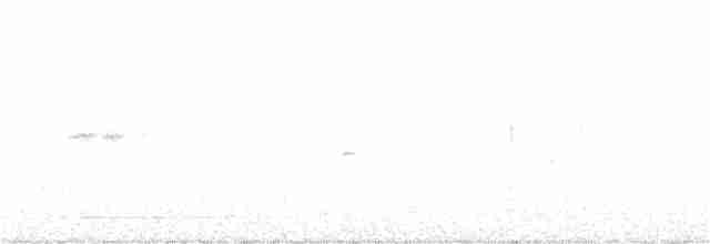 Savannah Serçesi [sandwichensis grubu] - ML246453311